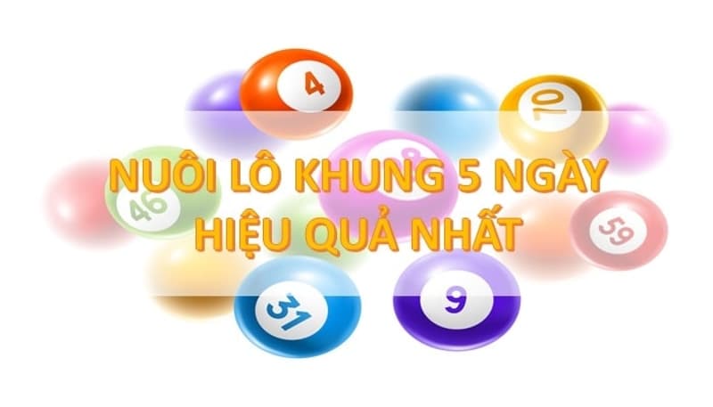 Hướng dẫn nuôi lô khung 5 ngày