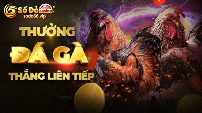 Giới thiệu tổng quan về game đá gà ăn tiền